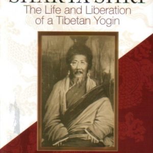Togden Shaka Shri, The Life and Liberation of a Tibetan Yogi, Kathu Situ Chokyi Gyatso
